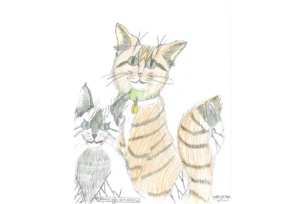 Thrushstar of Duskclan – Rufus and Shyfrost challenge