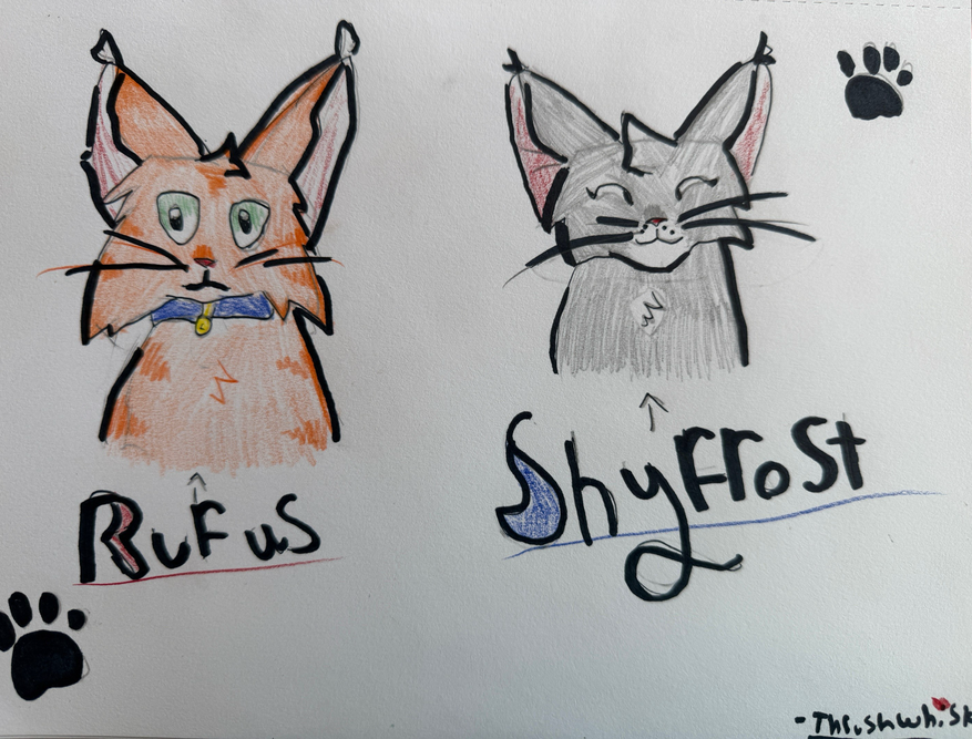star light – Rufus and Shyfrost challenge