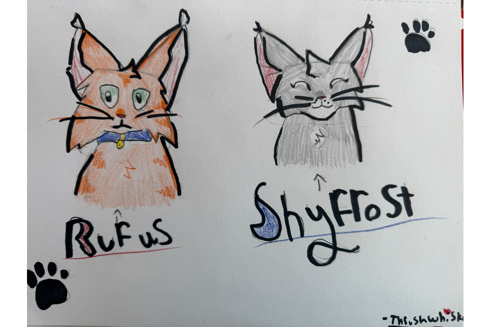 Thrushwhisker – Rufus and Shyfrost challenge