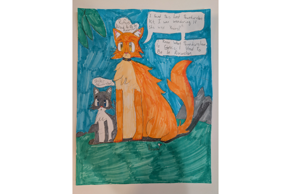 Vivicat – Rufus and Shyfrost challenge