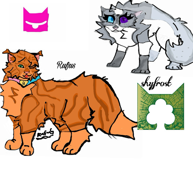 FireWolfy – Rufus and Shyfrost challenge