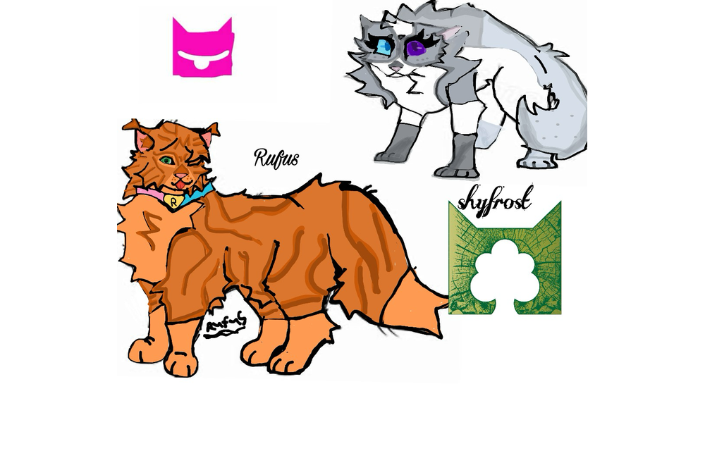 layze_wc – Rufus and Shyfrost challenge