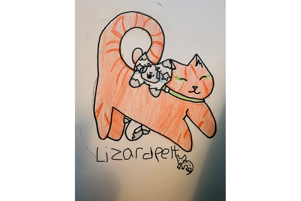 lizardpelt – Rufus and Shyfrost challenge