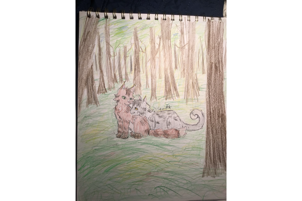 squid – Rufus and Shyfrost challenge