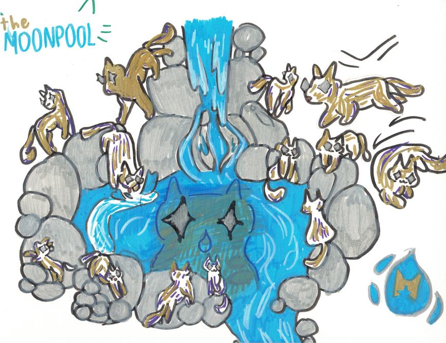 Lilypad – Moonpool art challenge