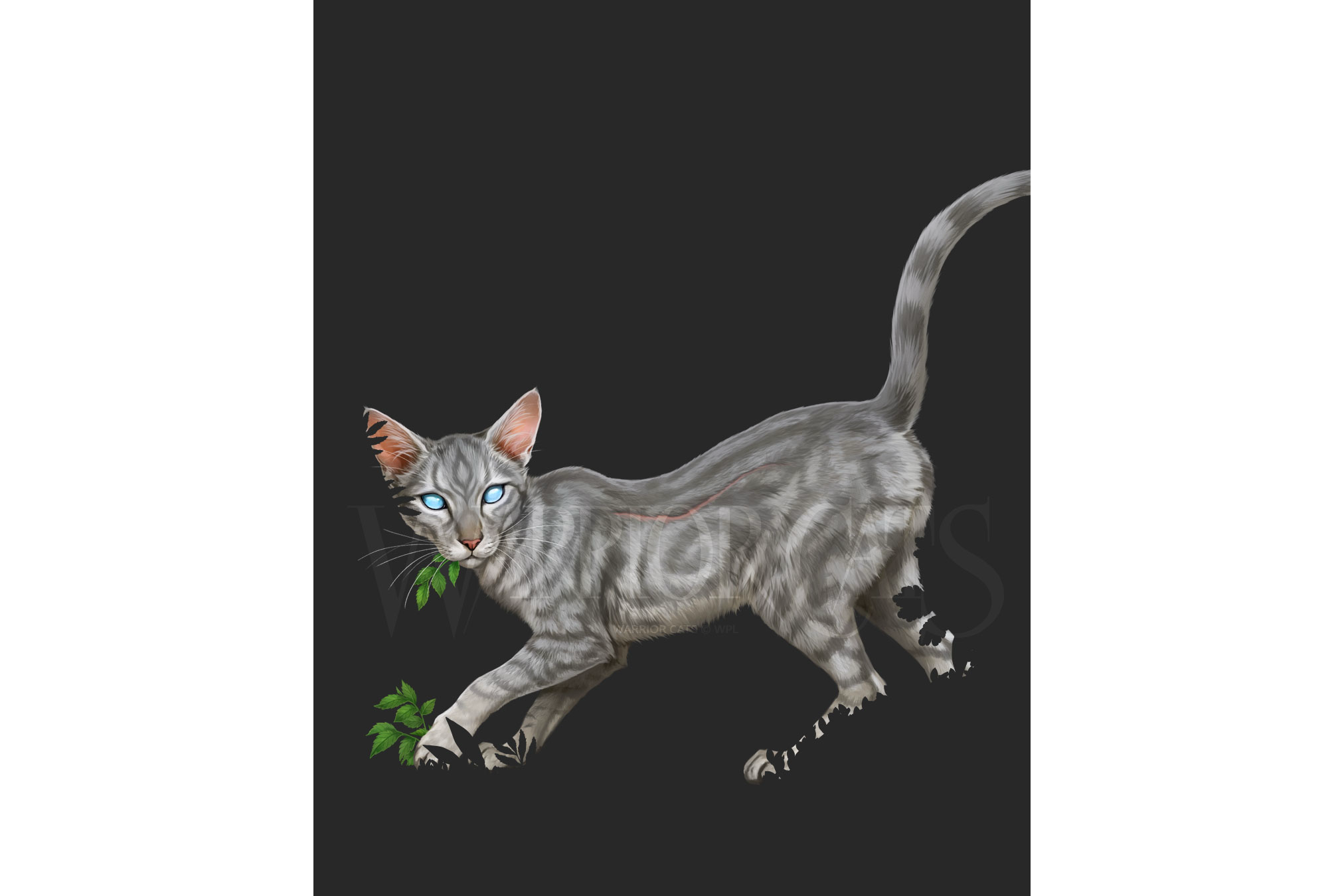 New official Warrior Cats character art