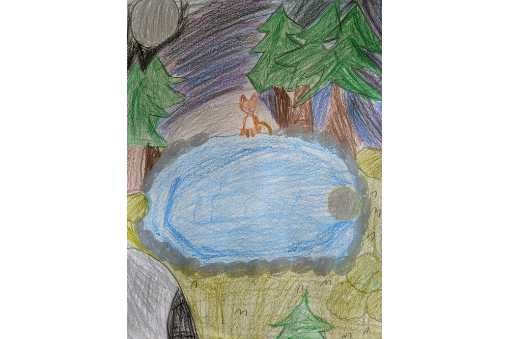 Orchidfur – Moonpool art challenge