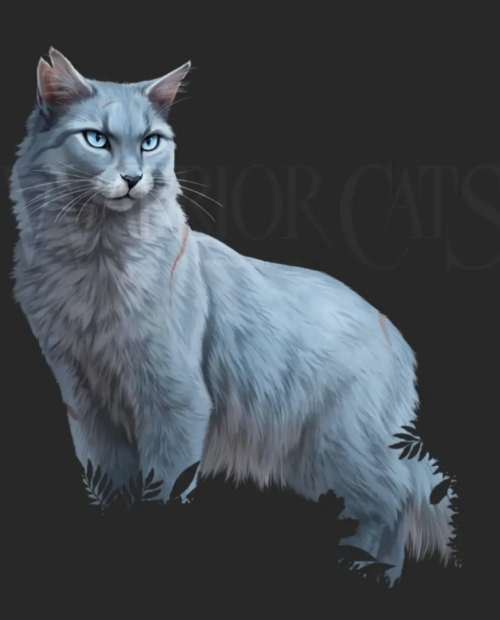 New official Warrior Cats character art