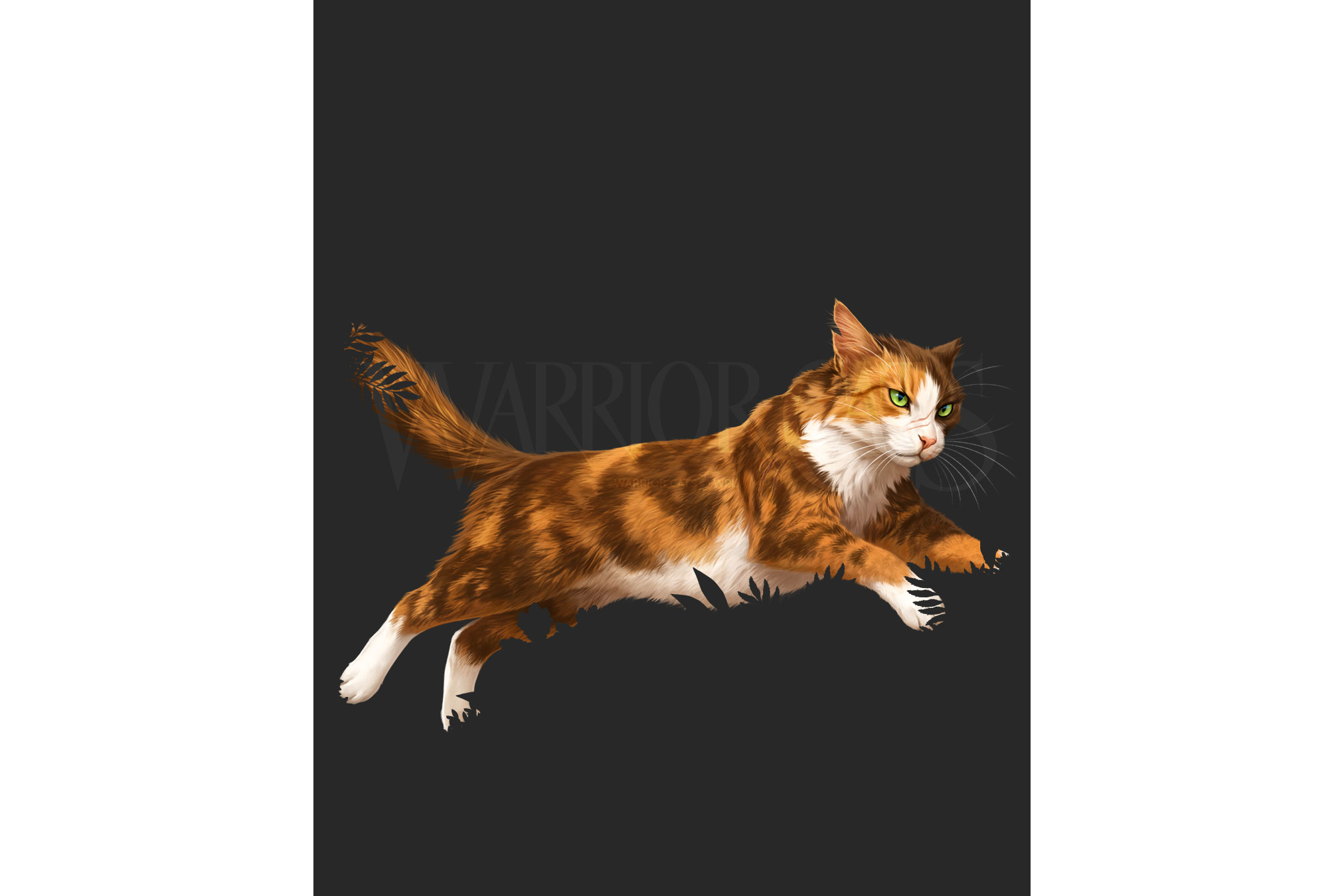 New official Warrior Cats character art