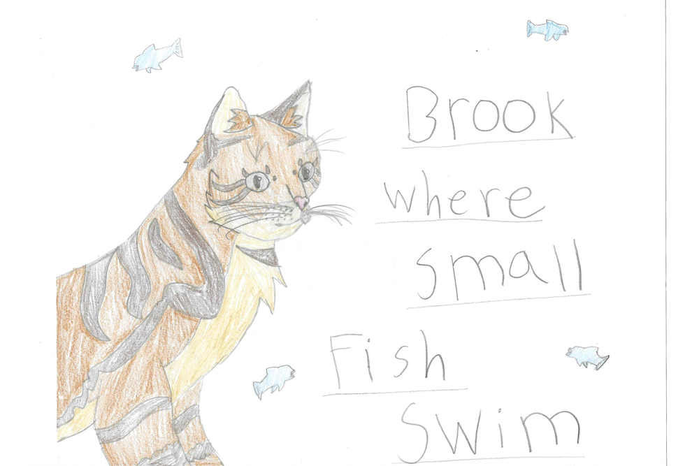 Abby – Favorite Tribe cat challenge
