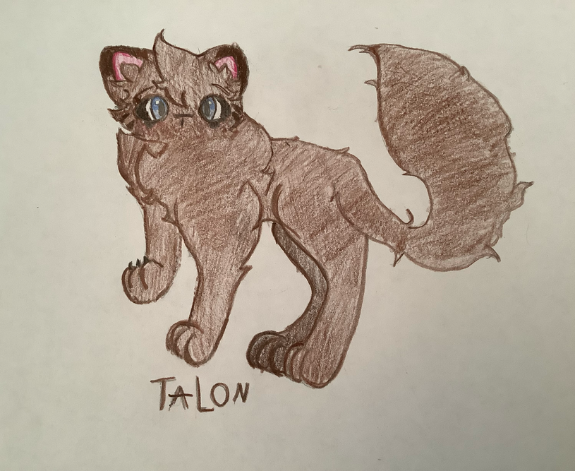Corn – Favorite Tribe cat challenge