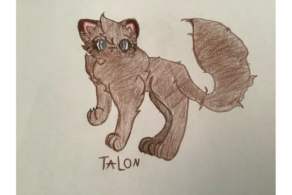 Carley M – Favorite Tribe cat challenge