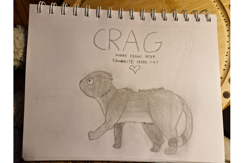 Chocofur – Favorite Tribe cat challenge