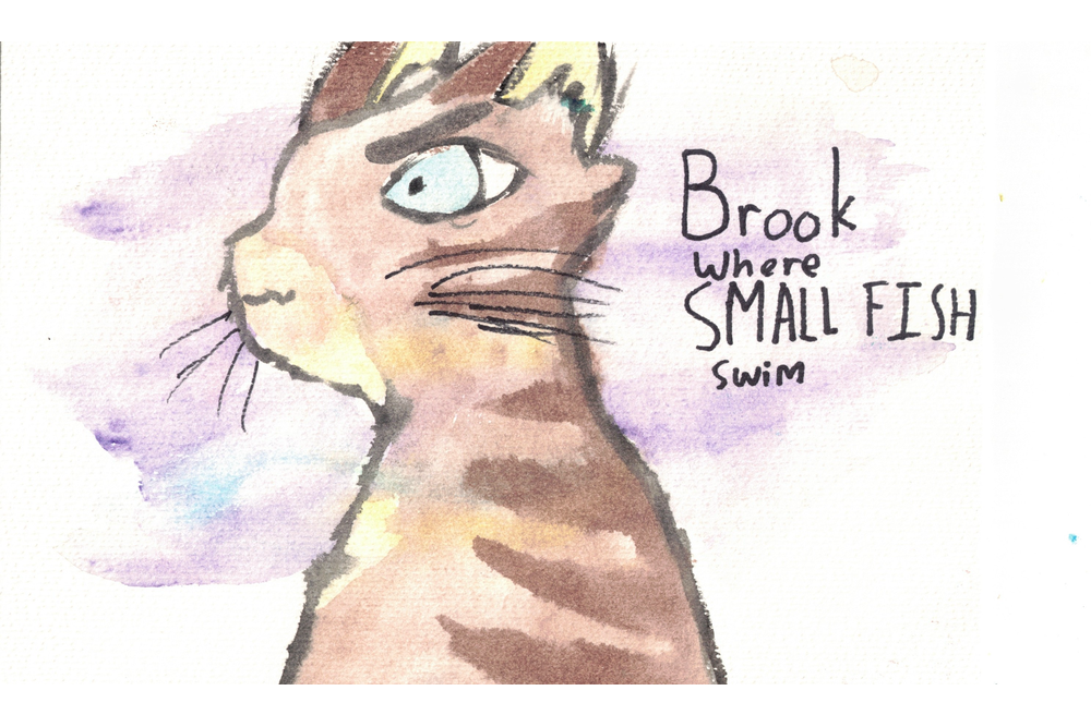 Da Moon – Favorite Tribe cat challenge