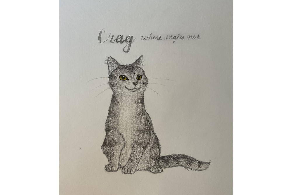 Dawnthorn101335 – Favorite Tribe cat challenge