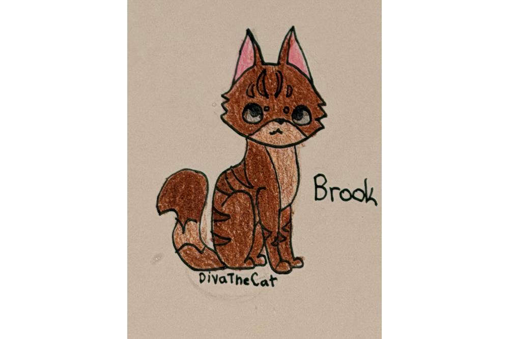 DivaTheCat – Favorite Tribe cat challenge
