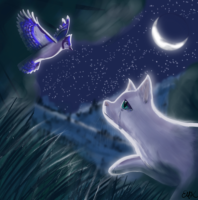 ShadowScar – Favorite Tribe cat challenge