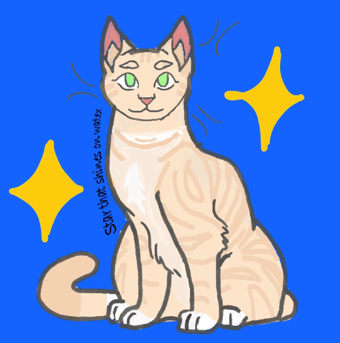 _-Pinecone-_ – Favorite Tribe cat challenge