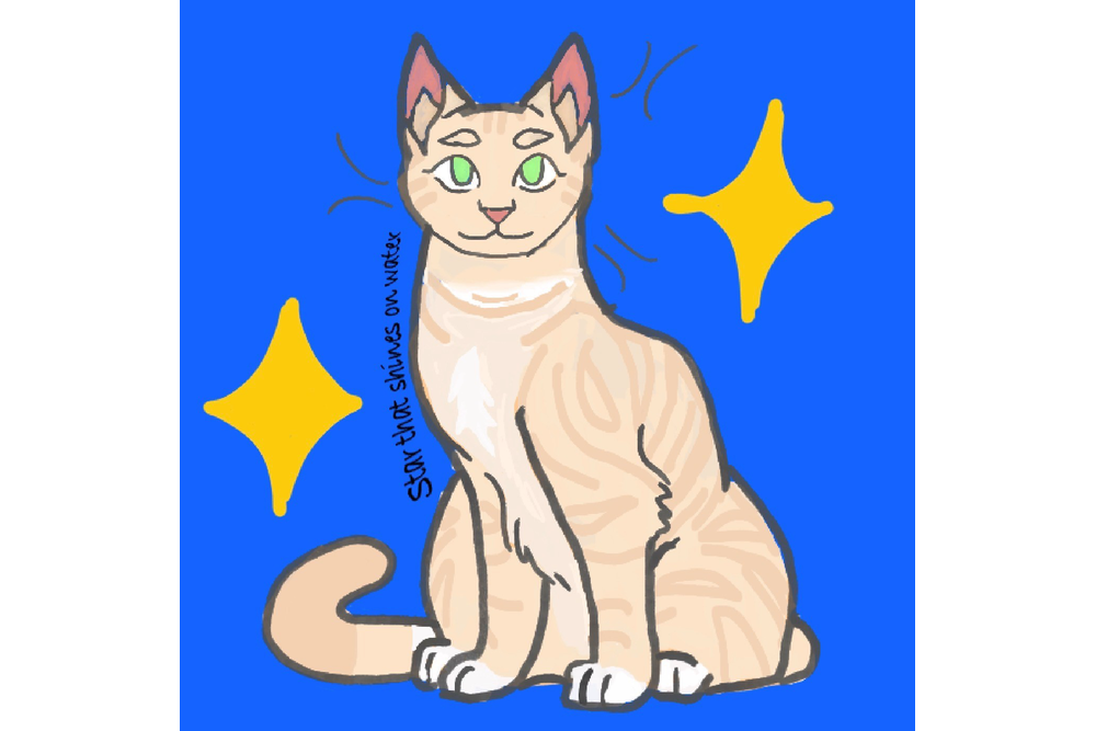 Elliebeanss – Favorite Tribe cat challenge