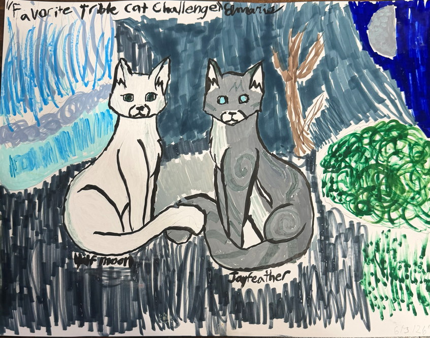 Brooke – Favorite Tribe cat challenge