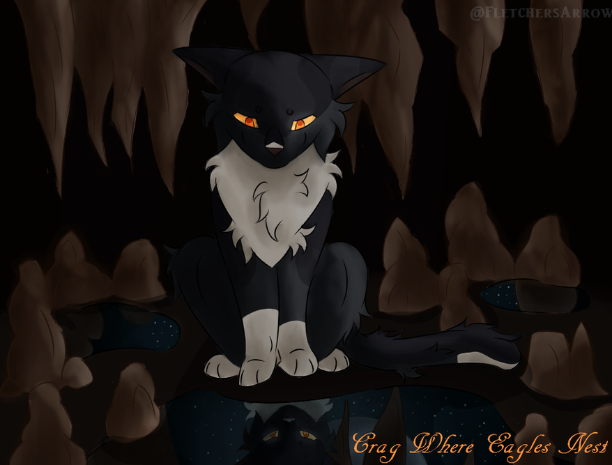 CrimsonBird – Favorite Tribe cat challenge