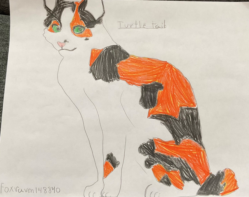 Moonbeam – Favorite Tribe cat challenge