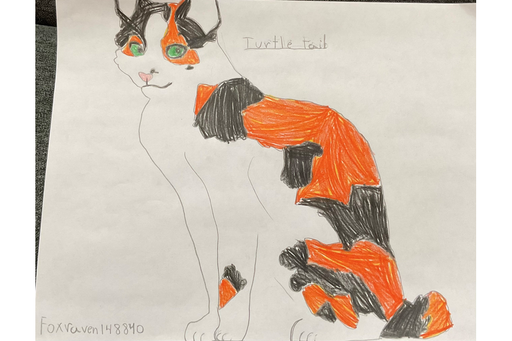 Foxraven148840 – Favorite Tribe cat challenge