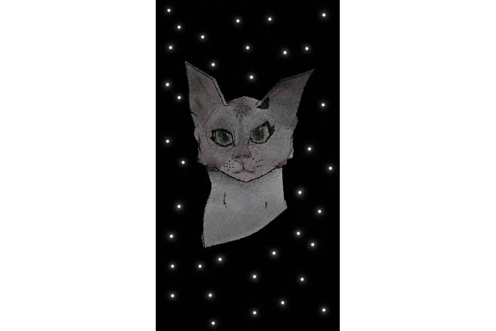 Corn – Favorite Tribe cat challenge