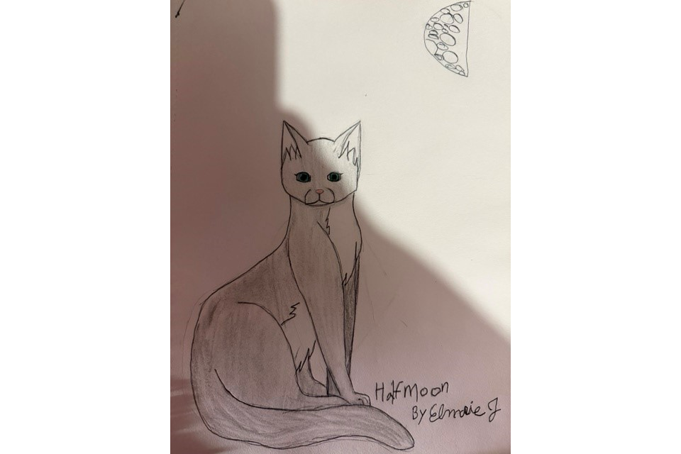 Elmarie J – Favorite Tribe cat challenge