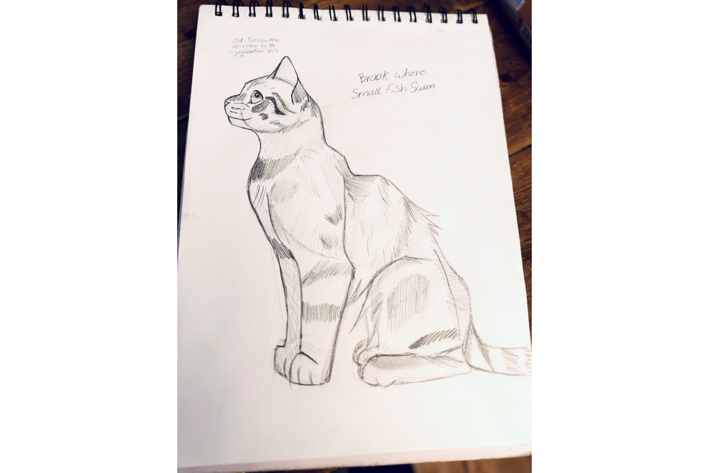 jayfeather473 – Favorite Tribe cat challenge
