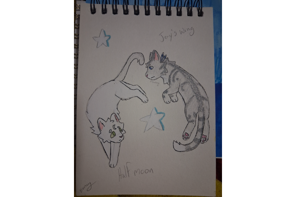 Lionsong – Favorite Tribe cat challenge