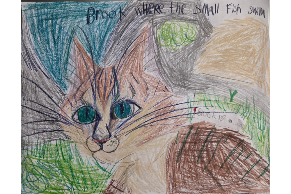 Lulu – Favorite Tribe cat challenge