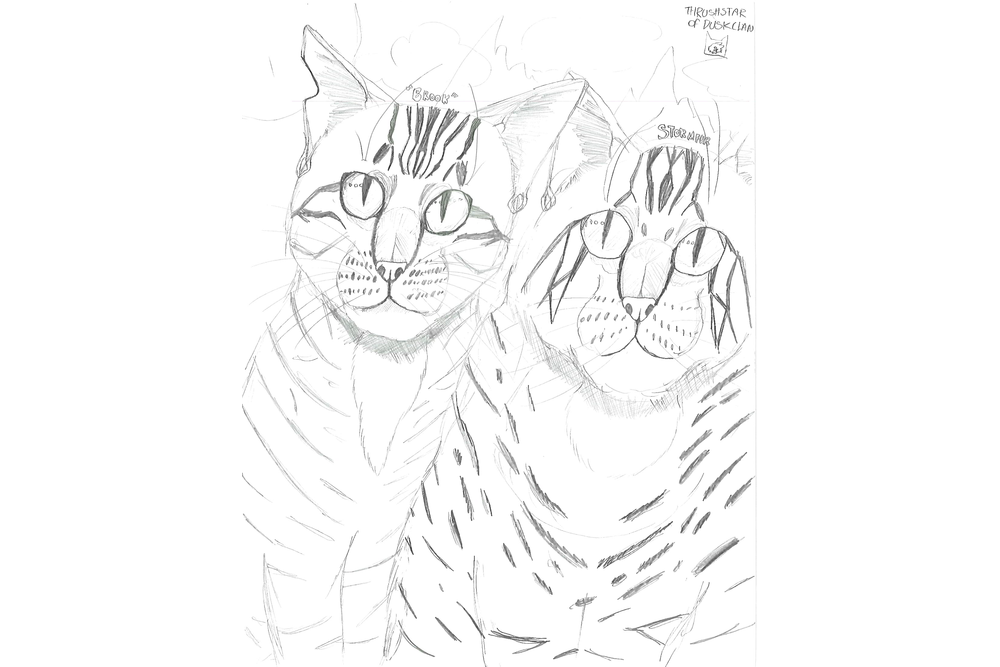 Thrushstar of DuskClan – Favorite Tribe cat challenge