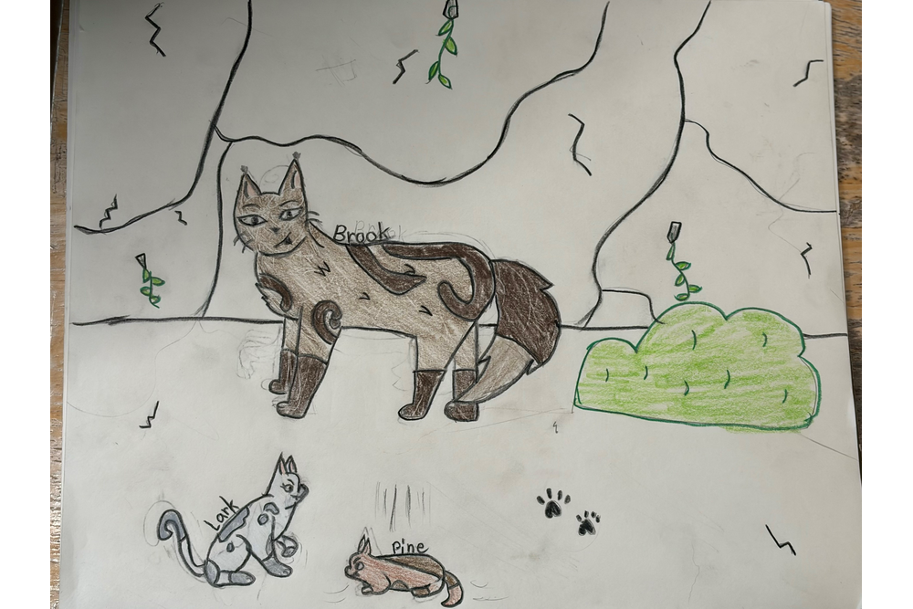 Willow – Favorite Tribe cat challenge