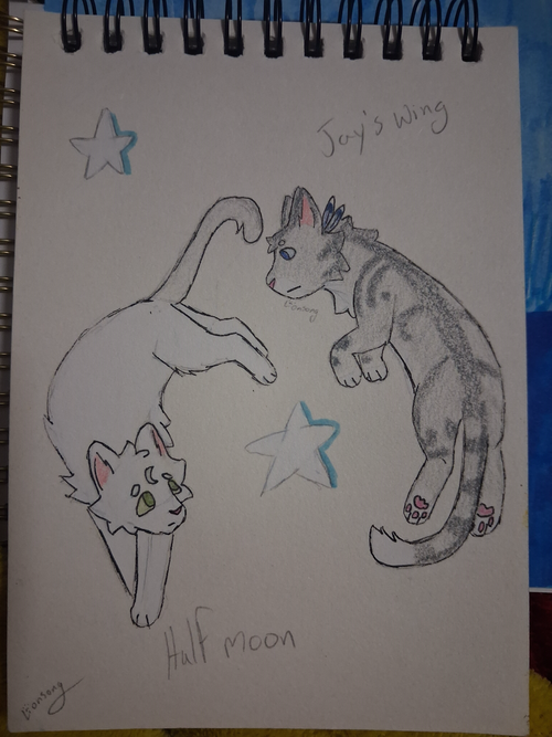 jayfeather473 – Favorite Tribe cat challenge