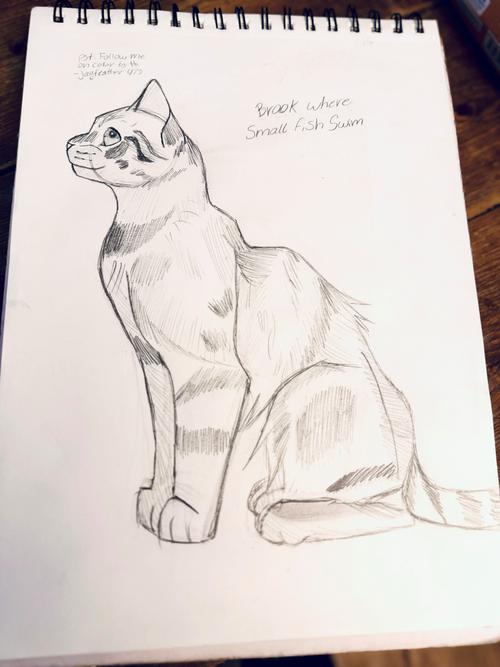 Elmarie J – Favorite Tribe cat challenge