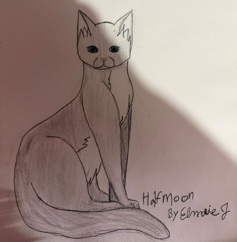 CrimsonBird – Favorite Tribe cat challenge