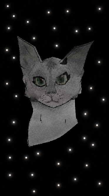 BellaCattus11 – Favorite Tribe cat challenge