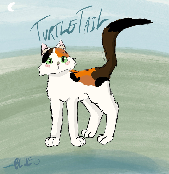 ShadowScar – Favorite Tribe cat challenge