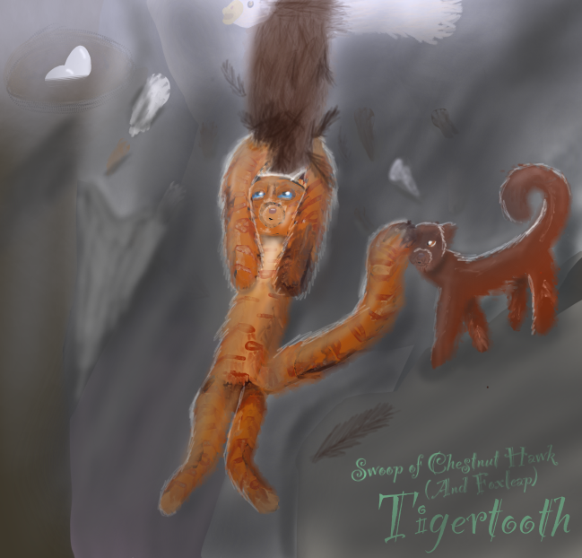 Sullivan – Favorite Tribe cat challenge