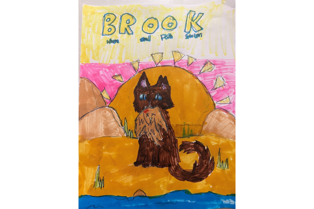 Sullivan – Favorite Tribe cat challenge