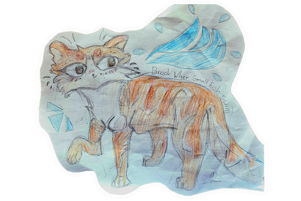 Poppy – Favorite Tribe cat challenge