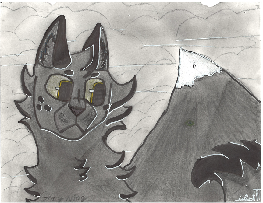 catluver_67 – Favorite Tribe cat challenge