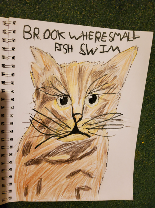 Reva – Favorite Tribe cat challenge