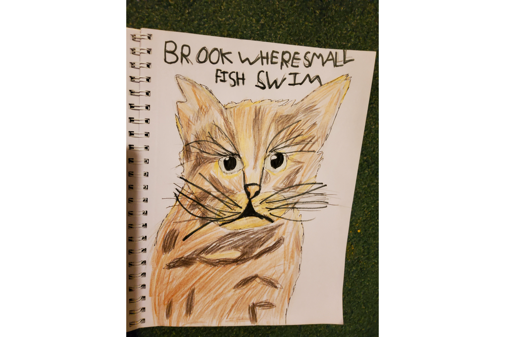 Daisy – Favorite Tribe cat challenge