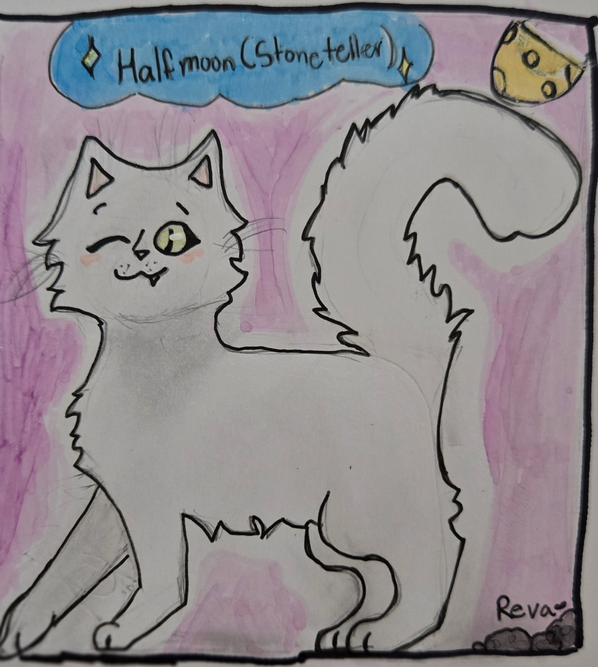 nuttail – Favorite Tribe cat challenge