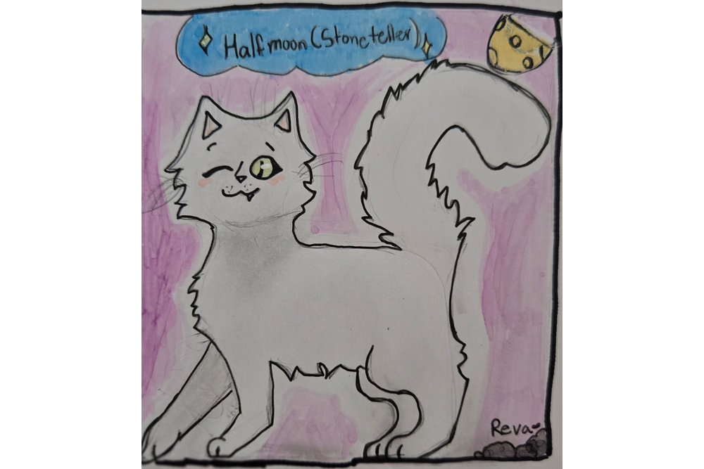 Reva – Favorite Tribe cat challenge