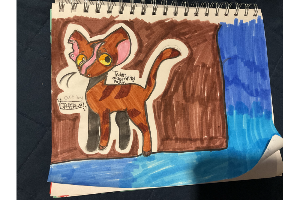 JAYFAN – Favorite Tribe cat challenge