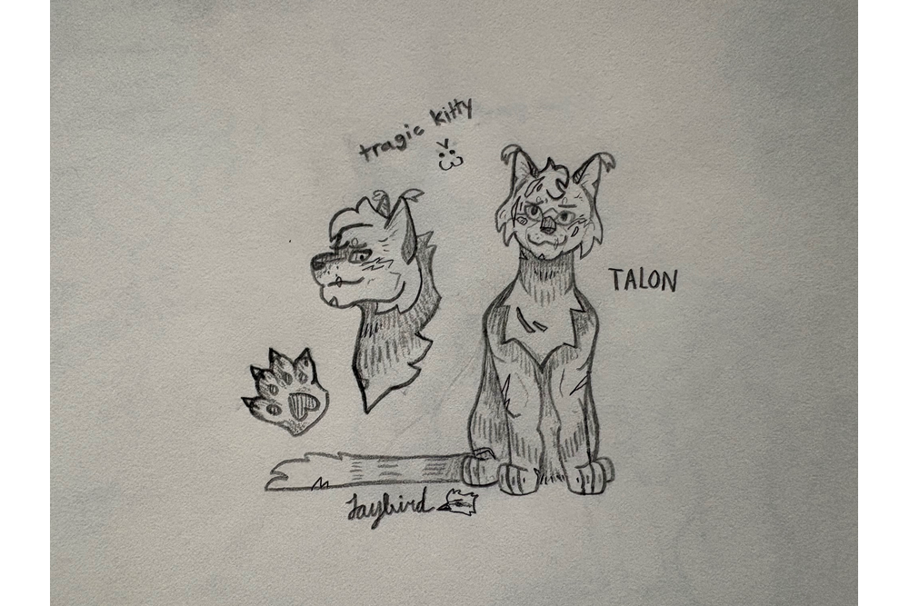 JayBird – Favorite Tribe cat challenge