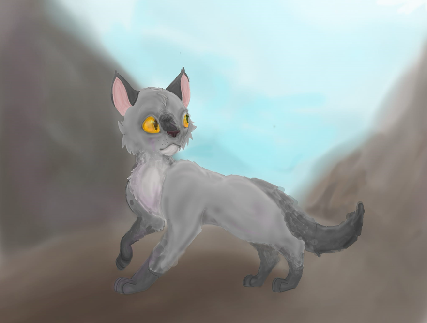 Gigisbasement – Favorite Tribe cat challenge